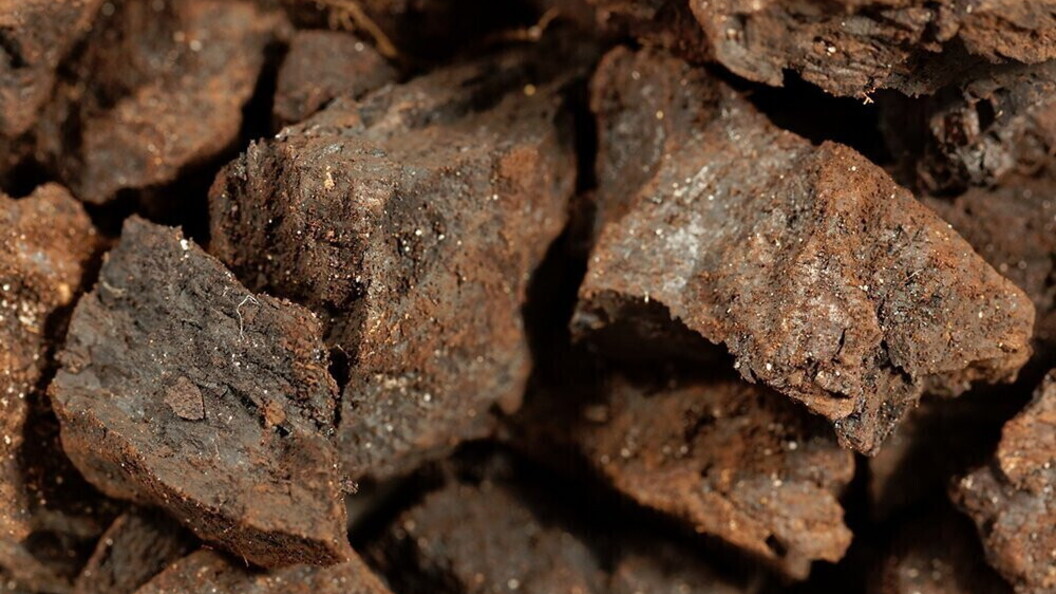 Lignite