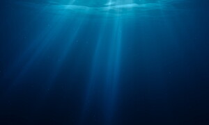 La corsa ai metalli in fondo al mare