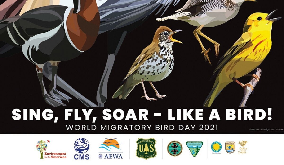 World Migratory Bird Day 2021