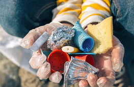 Indagine Beach Litter: raccolti 783 rifiuti ogni 100 metri