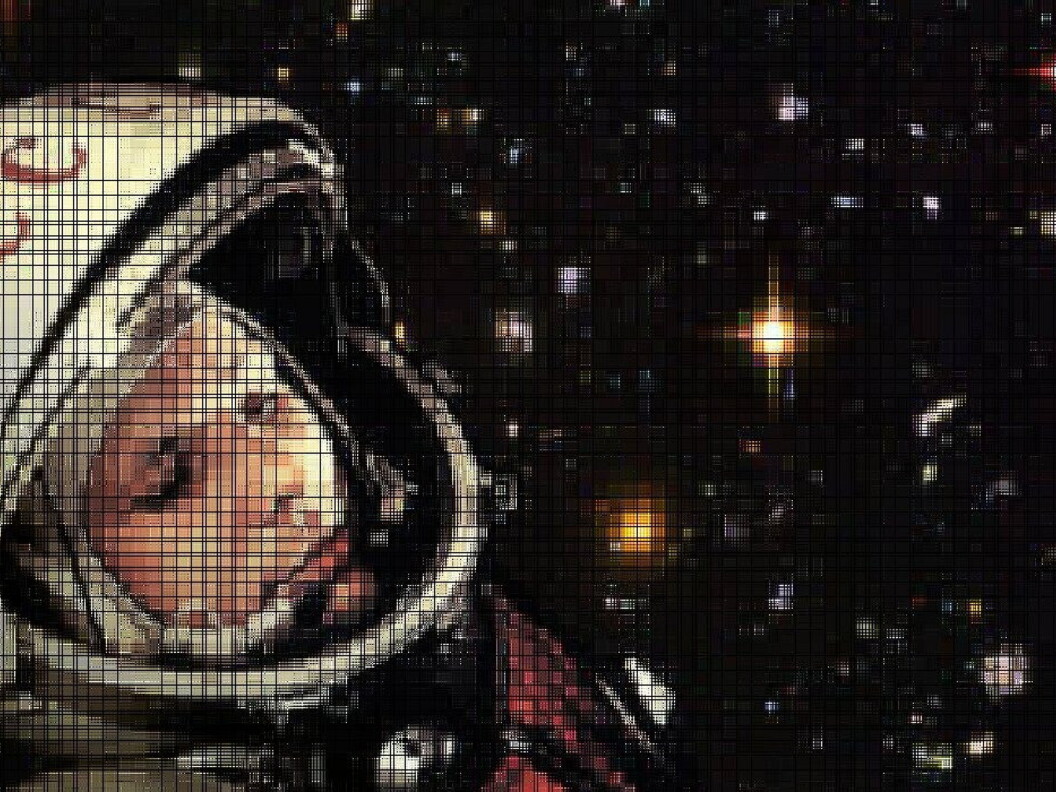  International Day of Human Space Travel 