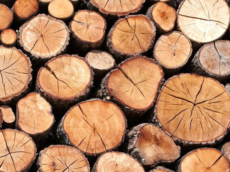 Lignin-derived carbon supercapacitators for electricity storage