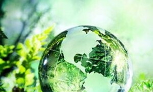 World Environment Day 2023