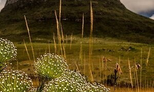 Chapada Diamantina: a treasure beyond gemstones