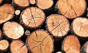 Lignin-derived carbon supercapacitators for electricity storage 