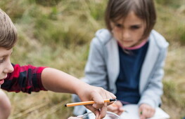 Strumenti digitali per l’educazione ambientale
