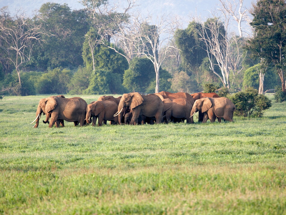 Altro che paura per i topi!