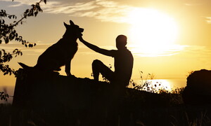 La connessione tra uomo e cane
