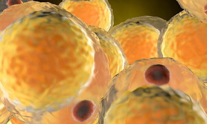 Il metabolismo cellulare