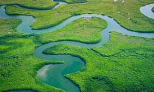 Ambiente ed ecosistemi