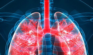 L’apparato respiratorio