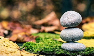 L’equilibrio meccanico