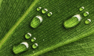 L’impronta ecologica