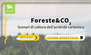 Foreste&CO2