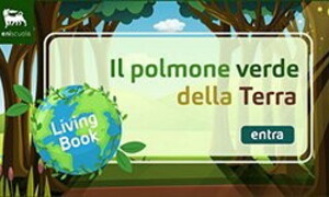 Il polmone verde della Terra
