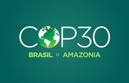 L'importanza della COP30