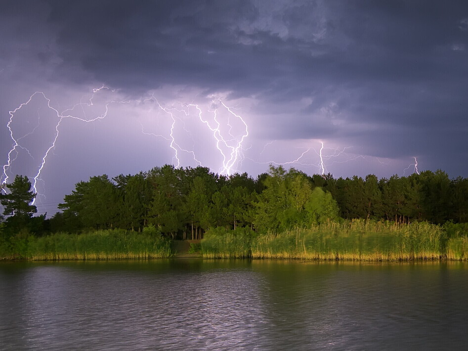 L’albero dei fulmini