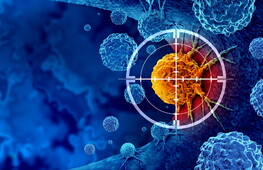 Nobel per la Medicina 2025: il segreto della “tolleranza immunitaria”