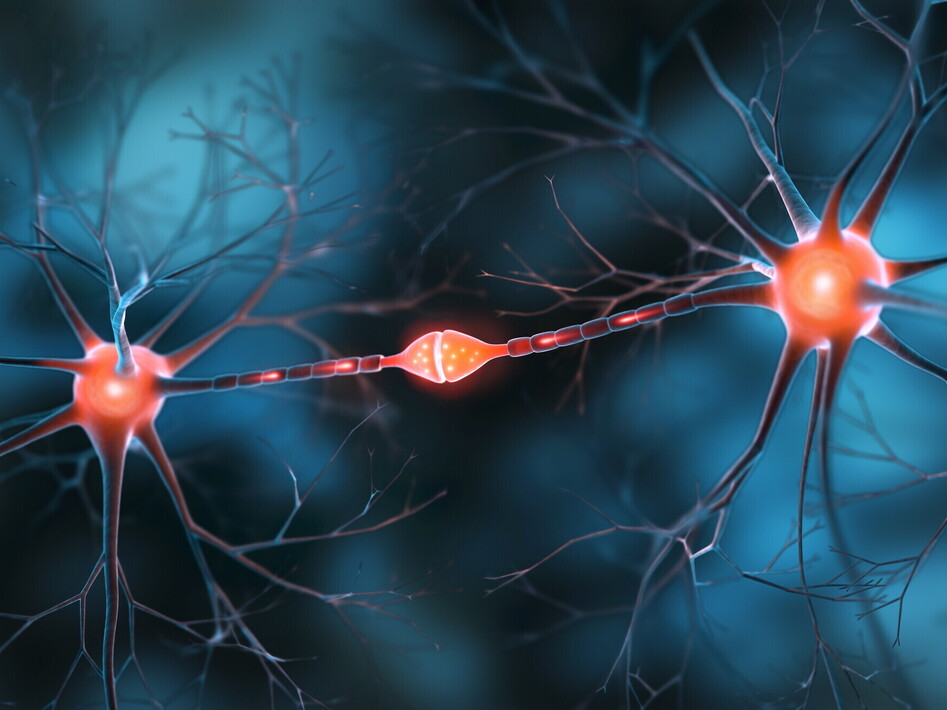 scoperto-meccanismo-calcolo-cerebrale-mai-visto-prima