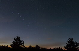 Under the sign of the Bear