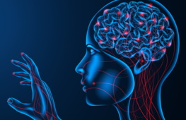 Come il cervello percepisce il tatto