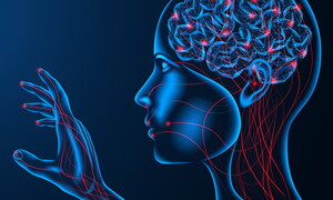 Come il cervello percepisce il tatto