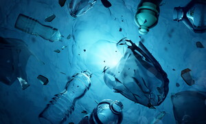 Inquinamento dell’acqua