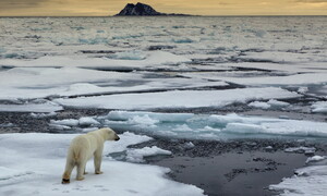 Cambiamenti climatici