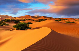 Deserto