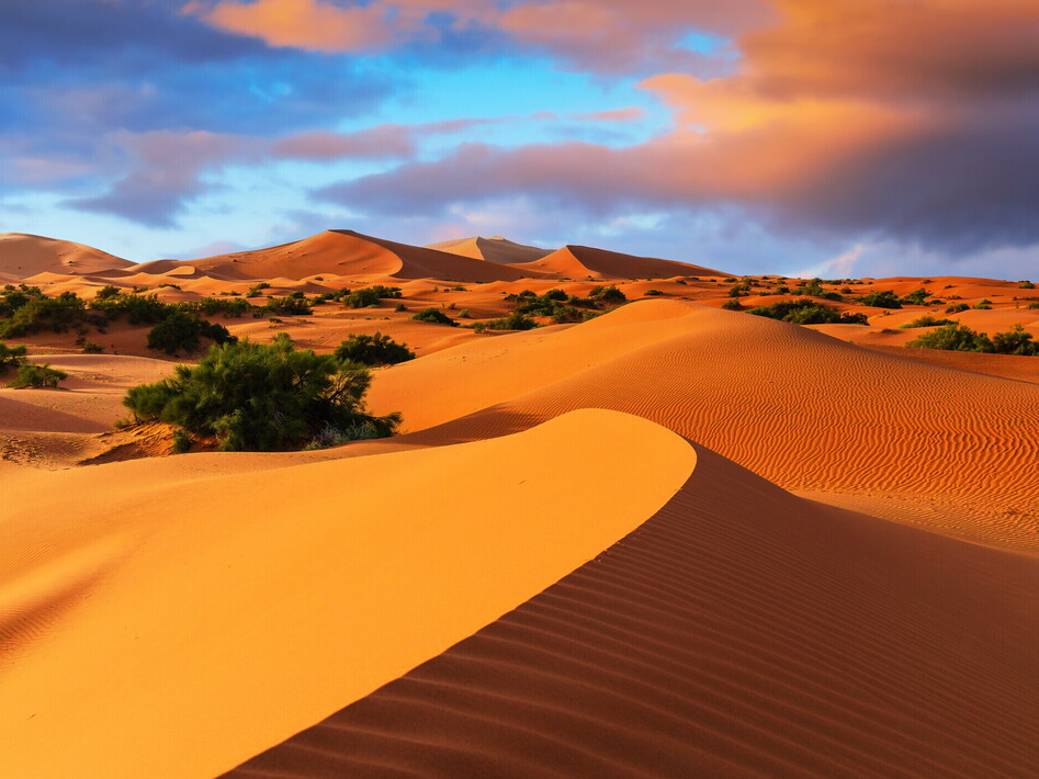 Deserto