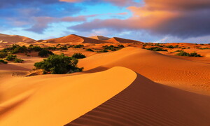 Deserto