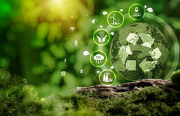 Circular economy knowledge