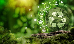 Circular economy knowledge