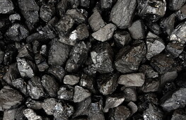 Coal Knowledge