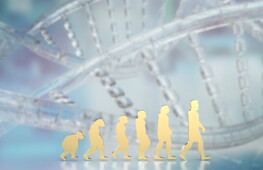 L’eredità neandertaliana