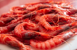 Dal piatto alla pinza