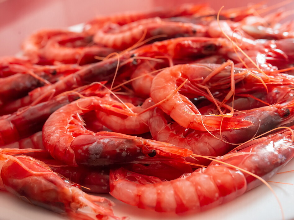 Dal piatto alla pinza