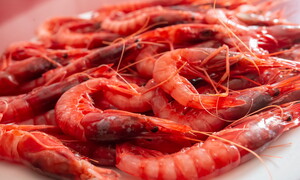 Dal piatto alla pinza