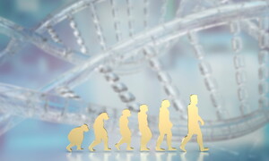 L’eredità neandertaliana