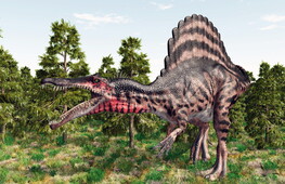 Un nuovo dinosauro predatore scoperto nel Sahara