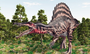 Un nuovo dinosauro predatore scoperto nel Sahara