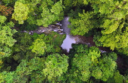 Due piccoli animali creduti estinti da 6000 anni sono stati ritrovati