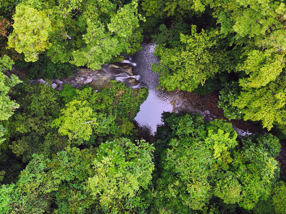 Due piccoli animali creduti estinti da 6000 anni sono stati ritrovati