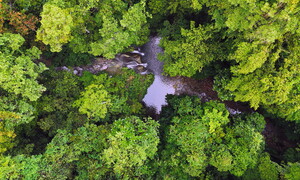 Due piccoli animali creduti estinti da 6000 anni sono stati ritrovati