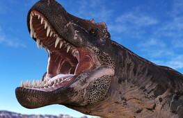 Che odore aveva l’alito del T. rex?