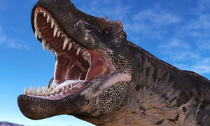 Che odore aveva l’alito del T. rex?