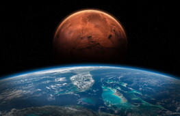 Un fungo terrestre in viaggio per Marte