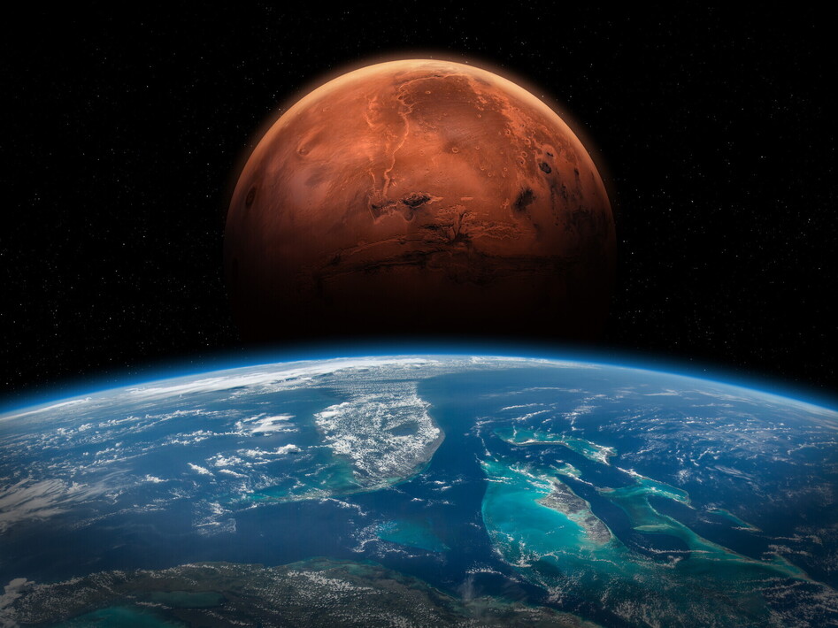 Un fungo terrestre in viaggio per Marte