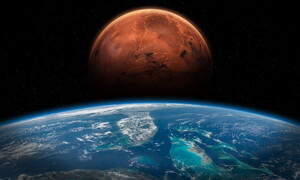 Un fungo terrestre in viaggio per Marte