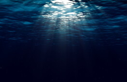 The race for metals at the bottom of the sea